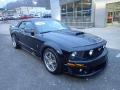  2006 Ford Mustang Black #8