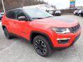 Front 3/4 View of 2021 Jeep Compass Trailhawk 4x4 #8