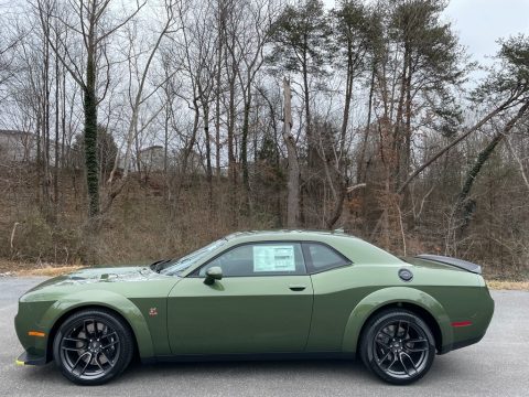 F8 Green Dodge Challenger R/T Scat Pack Widebody.  Click to enlarge.