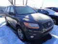 2010 Santa Fe Limited 4WD #4