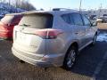 2017 RAV4 Platinum #4