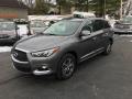 Front 3/4 View of 2019 Infiniti QX60 Pure #2