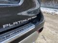 2021 Highlander Platinum AWD #25
