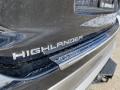 2021 Highlander Platinum AWD #26