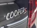 2021 Countryman Cooper S #11