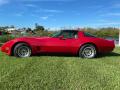 1981 Chevrolet Corvette Coupe Autumn Red