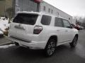 2019 4Runner Limited 4x4 #14