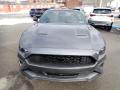2021 Mustang EcoBoost Fastback #4