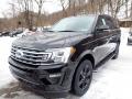  2021 Ford Expedition Agate Black #5