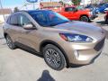 Front 3/4 View of 2021 Ford Escape SEL 4WD #8