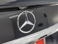  2017 Mercedes-Benz E Logo #35