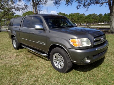 Phantom Gray Pearl Toyota Tundra SR5 Double Cab.  Click to enlarge.