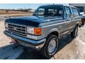 Front 3/4 View of 1989 Ford Bronco XLT 4x4 #8