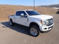 2019 F250 Super Duty Platinum Crew Cab 4x4 #6 2019 F250 Super Duty Platinum Crew Cab 4x4 #6