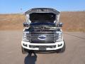 2019 F250 Super Duty Platinum Crew Cab 4x4 #9 2019 F250 Super Duty Platinum Crew Cab 4x4 #9