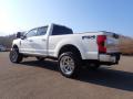 2019 F250 Super Duty Platinum Crew Cab 4x4 #14 2019 F250 Super Duty Platinum Crew Cab 4x4 #14