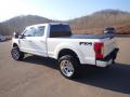 2019 F250 Super Duty Platinum Crew Cab 4x4 #15 2019 F250 Super Duty Platinum Crew Cab 4x4 #15