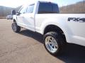 2019 F250 Super Duty Platinum Crew Cab 4x4 #21 2019 F250 Super Duty Platinum Crew Cab 4x4 #21