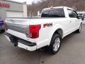 2020 F150 Platinum SuperCrew 4x4 #2 2020 F150 Platinum SuperCrew 4x4 #2