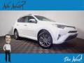 2017 RAV4 Platinum #1