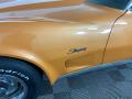1973 Corvette Coupe #9