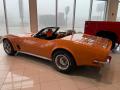 1973 Corvette Coupe #10