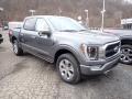 2021 F150 Platinum SuperCrew 4x4 #8