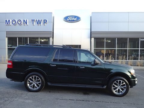 Green Gem Metallic Ford Expedition XLT 4x4.  Click to enlarge.