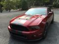 2014 Mustang Shelby GT500 Convertible #30