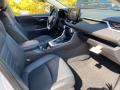 2021 RAV4 XLE Premium AWD #11