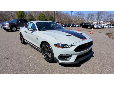 Fighter Jet Gray Ford Mustang Mach 1.  Click to enlarge.