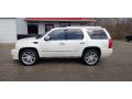 2012 Escalade Platinum AWD #2