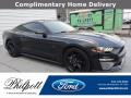 2019 Ford Mustang EcoBoost Fastback Shadow Black