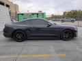 2019 Mustang EcoBoost Fastback #11