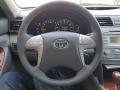 2009 Camry XLE V6 #15