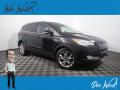 2015 Escape Titanium #1 2015 Escape Titanium #1