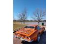 1972 Corvette Stingray Coupe #20