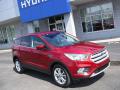 2019 Ford Escape SE 4WD Ruby Red