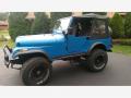 Front 3/4 View of 1981 Jeep CJ5 4x4 #1