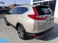 2019 Honda CR-V Sandstorm Metallic #2  2019 Honda CR-V Sandstorm Metallic #2
