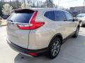 2019 CR-V EX AWD #5