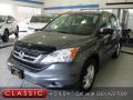 2010 CR-V LX AWD #1