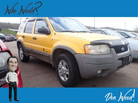 Chrome Yellow Metallic Ford Escape XLT V6 4WD.  Click to enlarge.