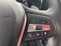  2019 BMW 3 Series 330i Sedan Steering Wheel #20
