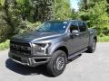 2019 F150 SVT Raptor SuperCrew 4x4 #2