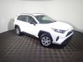 2019 RAV4 LE AWD #3 2019 RAV4 LE AWD #3