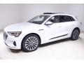  2019 Audi e-tron Glacier White Metallic #3