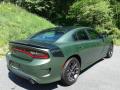 2020 Charger R/T #6