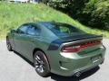 2020 Charger R/T #8
