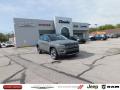 2021 Jeep Compass Limited 4x4 Sting-Gray